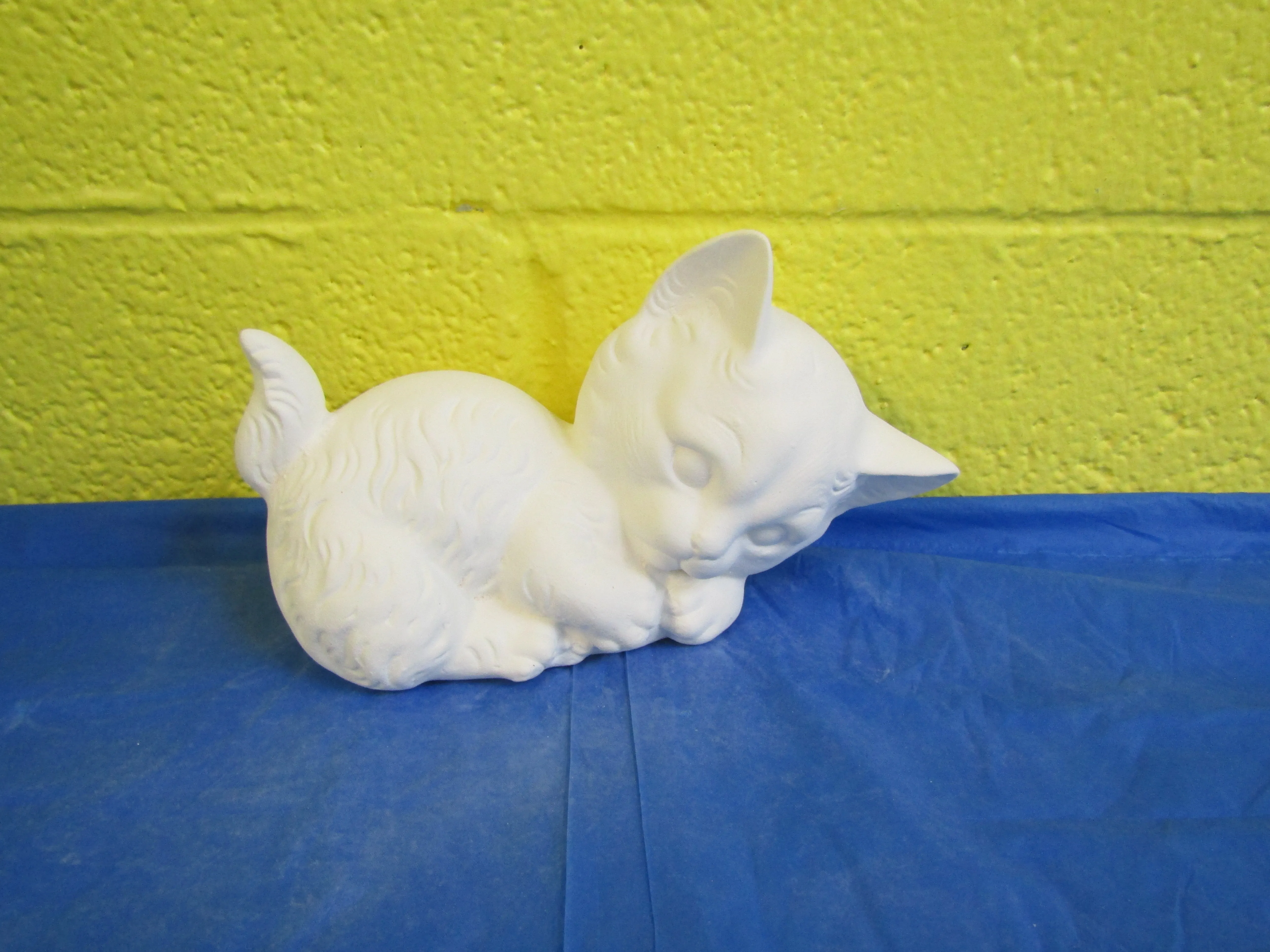 Cat - Boots