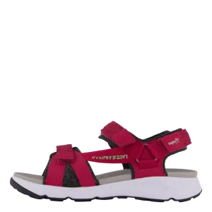 Criss Cross Red