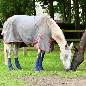 Equilibrium Equi-Chaps Hardy Chaps