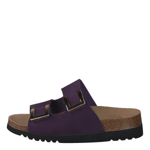 Monterey Ad Purple