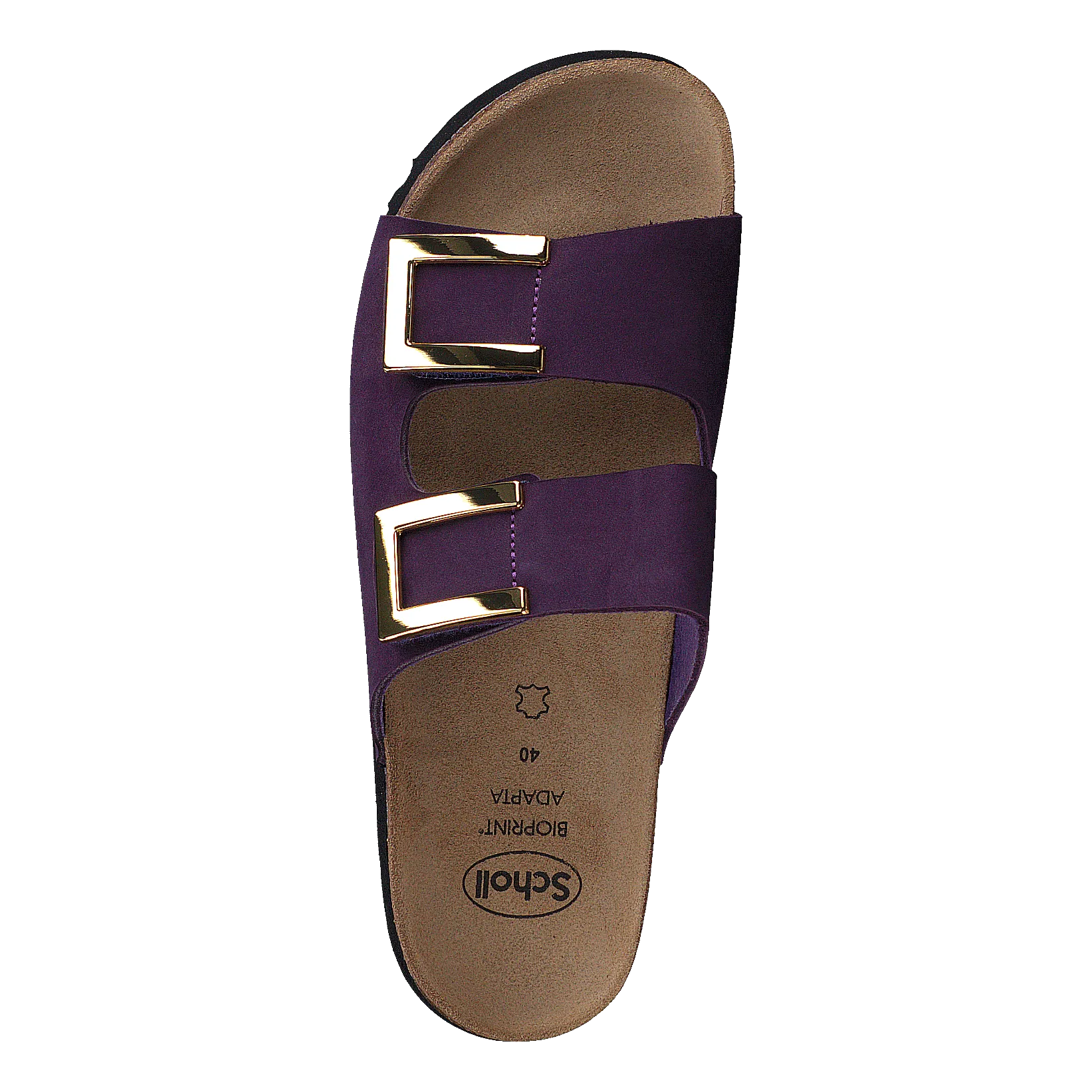 Monterey Ad Purple