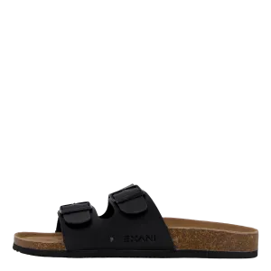 Spectra M Black