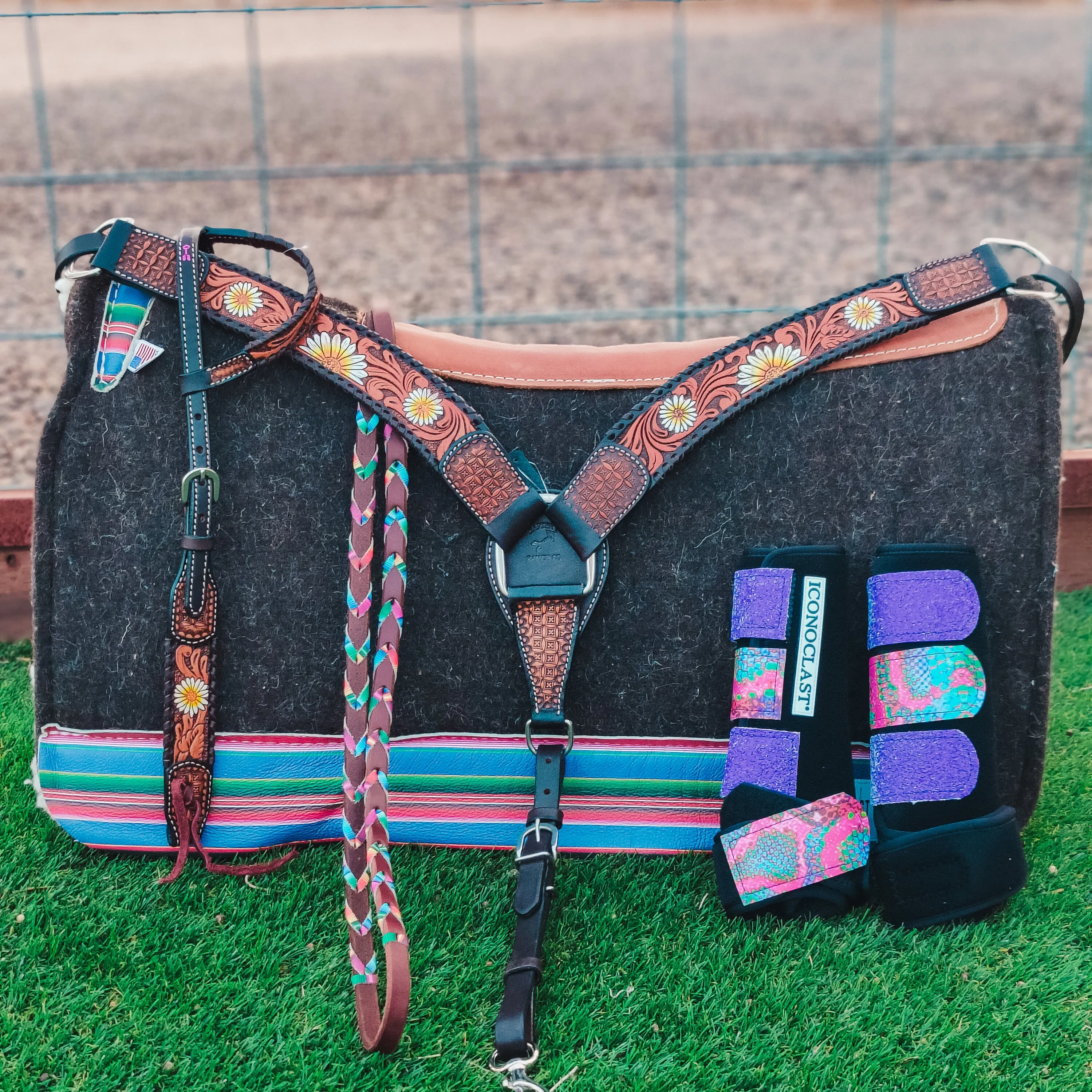 The Daisy Tack Collection